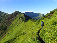 高田　健史